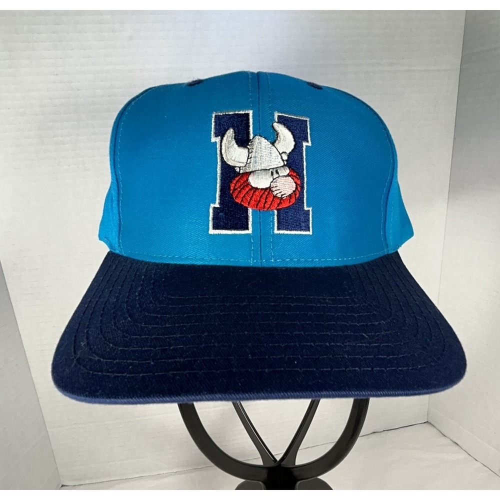 Hagar the Horrible studio grafix Hat SnapBack OSFM Cartoons newspaper classic